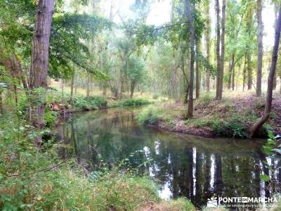 Hoces Río Duratón - Villa Sepúlveda; actividades turismo escapada fin de semana